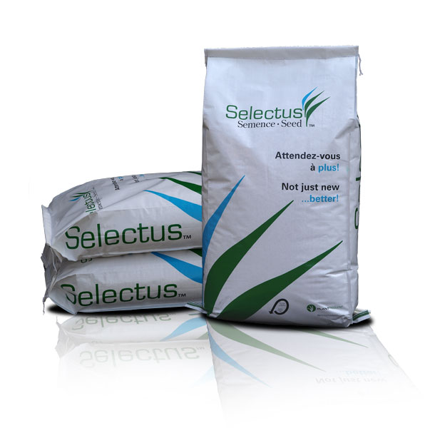 Selectus turf seeds
